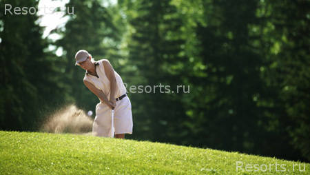 Is Morus Relais 41